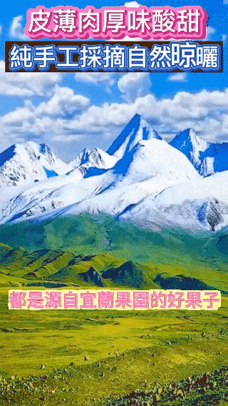 【宜蘭甘草金柑】清甜回甘,口感爽脆 古法製作 中藥熬製,潤肺止乾咳還能兼顧脾胃! - 21
