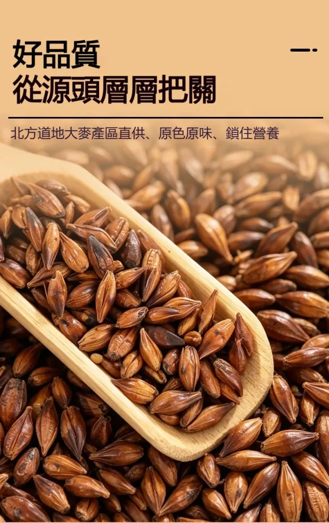 🔥【黃金顆粒·💓血管清道夫】 精選炒大麥茶－軟化血管輔助降三高，中老年人群健康守護之選 - 8