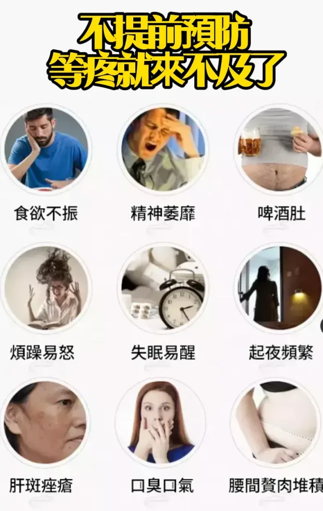 🔥【黃金顆粒·💓血管清道夫】 精選炒大麥茶－軟化血管輔助降三高，中老年人群健康守護之選 - 1