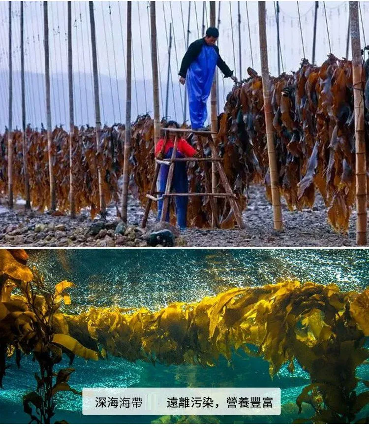馬祖泡髮日曬海帶絲細橫切幹貨高泡髮率涼拌菜海帶絲 - 4