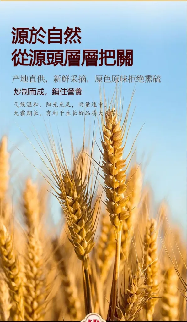 🔥【黃金顆粒·💓血管清道夫】 精選炒大麥茶－軟化血管輔助降三高，中老年人群健康守護之選 - 6
