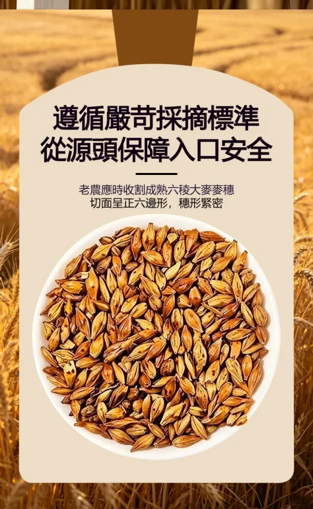 🔥【黃金顆粒·💓血管清道夫】 精選炒大麥茶－軟化血管輔助降三高，中老年人群健康守護之選 - 5