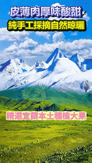 【宜蘭甘草金柑】清甜回甘,口感爽脆 古法製作 中藥熬製,潤肺止乾咳還能兼顧脾胃! - 9