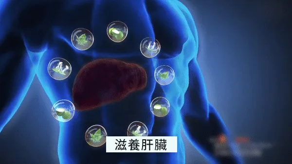 🔥【黃金顆粒·💓血管清道夫】 精選炒大麥茶－軟化血管輔助降三高，中老年人群健康守護之選 - 2