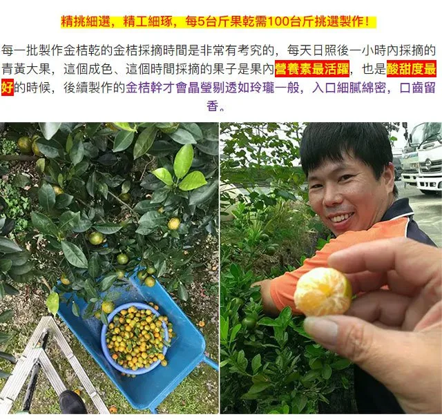 【宜蘭甘草金柑】清甜回甘,口感爽脆 古法製作 中藥熬製,潤肺止乾咳還能兼顧脾胃! - 10