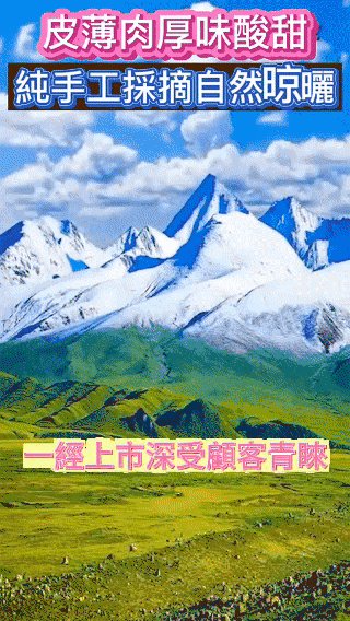 【宜蘭甘草金柑】清甜回甘,口感爽脆 古法製作 中藥熬製,潤肺止乾咳還能兼顧脾胃! - 15