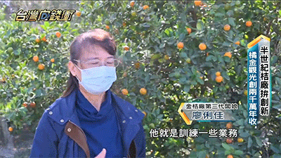 【宜蘭甘草金柑】清甜回甘,口感爽脆 古法製作 中藥熬製,潤肺止乾咳還能兼顧脾胃! - 3