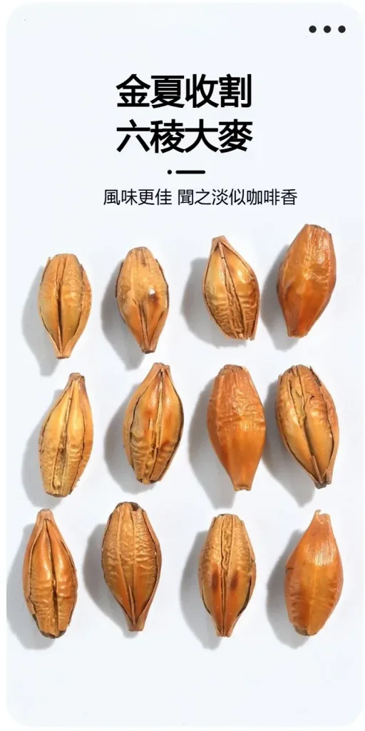 🔥【黃金顆粒·💓血管清道夫】 精選炒大麥茶－軟化血管輔助降三高，中老年人群健康守護之選 - 10